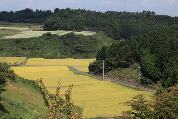 笠の田園