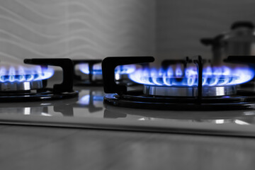 Modern gas cooktop with burning blue flames in kitchen