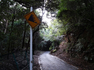 山道の落石ありの道路標識
