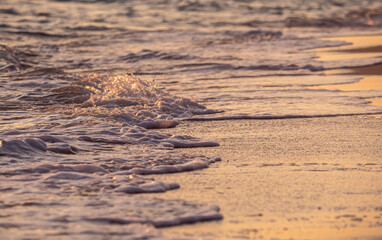 wave splash sea beach macro