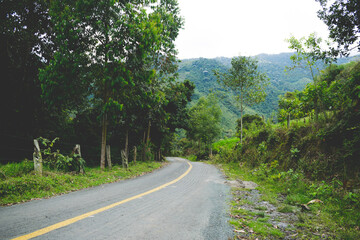 carretera de cemento en medio de la naturaleza con montaña de fondo y arboles alrededor 