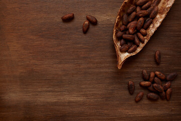 Cacao pod