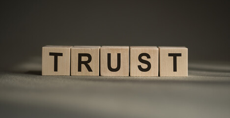 TRUST word written on wooden blocks. TRUST text on table, concept.