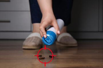 Woman spraying insecticide onto cockroaches, closeup. Pest control