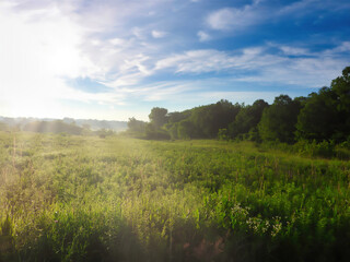 Combination of Prairie Meadow and Wooded Forest Line on a Sunny Summer Morning with Sunshine Coming Through with Sun Rays Showing the Green of Summer Foliage and Fauna with Bright Blue Sky and Clouds