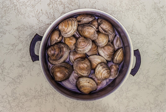 Raw Clams In Pot Of Water