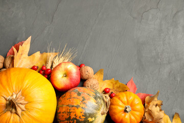 Flat lay composition with ripe pumpkins and autumn leaves on grey table, space for text. Happy Thanksgiving day