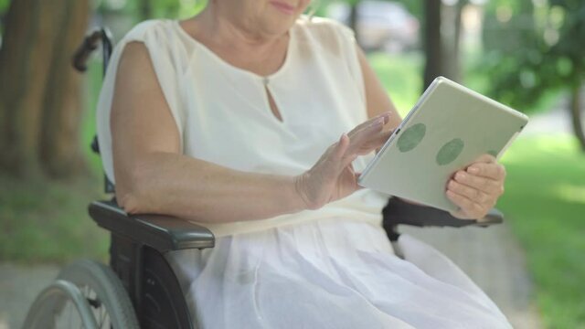 Unrecognizable paralyzed senior woman surfing Internet on tablet. Old Caucasian retiree messaging online as sitting in wheelchair in sunny summer park. Disabled pensioner using modern technologies.