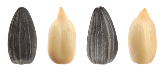 Set of sunflower seeds on white background. Banner design