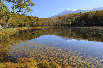 秋の知床五湖（北海道・知床）