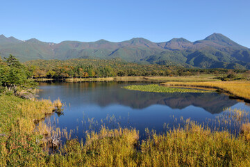 秋の知床五湖（北海道・知床）