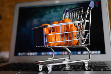 carro de supermercado  para representar la compra online  con quinotos en su interior chica fruta...