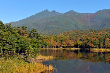 秋の知床五湖（北海道・知床）