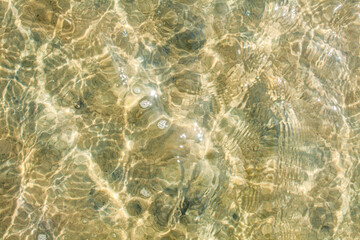 Sunny summer beach at low tide