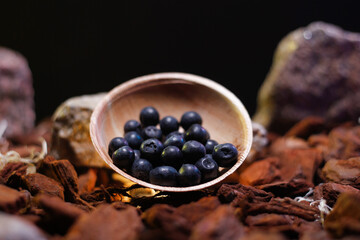 Fototapeta na wymiar blueberries in wooden bowl on tree bark