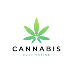 Naklejka premium Cannabis leaf logo design vector icon