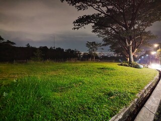 sunset in the park