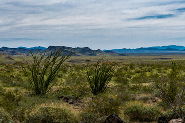 ocean like desert landscape
