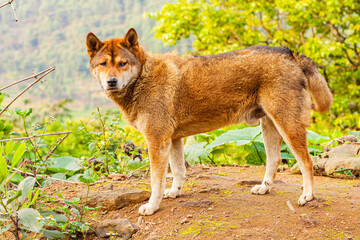 From the border of China back to Hanoi