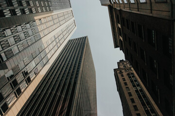 Naklejka premium San Fransisco Buildings
