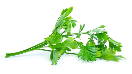 green parsley vegetable isolated on white background