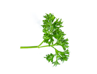 Parsley isolated on white background
