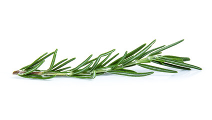 rosemary isolated on white background (Mix, set , collection)