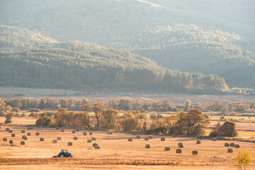 Fototapeta premium Tractor collecting straw bales sun bulgaria farming agriculture minimal machine golden hay small zoom far away work copy space for text