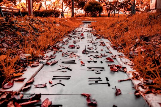 Korean Alfabeth park