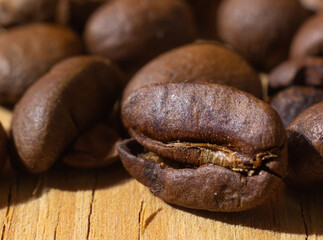 macro close up coffee bean