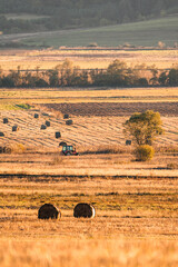 Lonely tractor harvest hay field crop stubble golden yellow orange autumn mountain background massive bulgaria technology machine agriculture