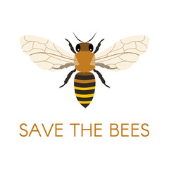 Save the bees. Honey Bee. 