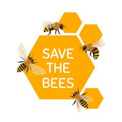 Save the bees. Honey Bee. 