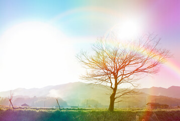 明日香 © Paylessimages