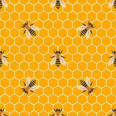 honey bee and honeycomb