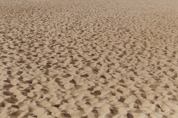 Fototapeta na wymiar Beach Sand on the Seashore with Footprints of people.
