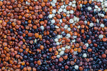 Quinoa seeds on background, close up, top view