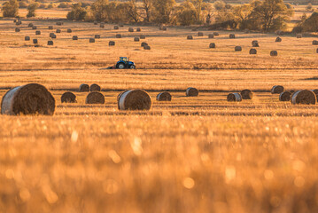 Lonely tractor harvest hay field crop stubble golden yellow orange autumn mountain background massive bulgaria technology machine agriculture