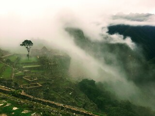 misty morning at Machu Picchu
