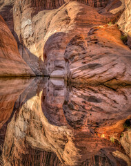 Views from Lake Powell on some sunny September days.