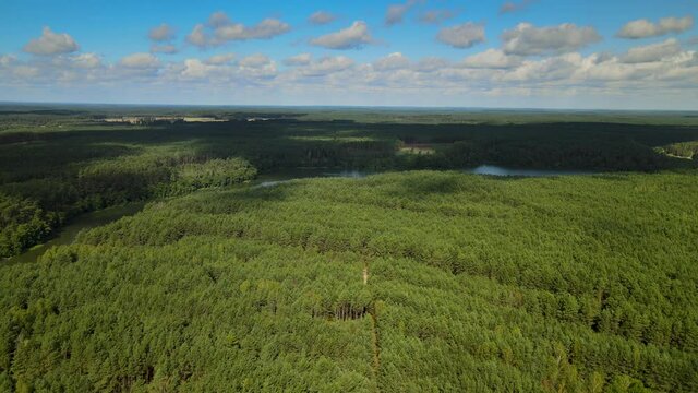 Kowalskie Blota in Poland - Peaceful Scenery Of A Green Lush Trees With Bright Blue Sky Above - Aerial Shot