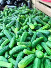 Pickles