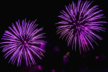 bright sparkling fireworks purple and gold on the night sky.