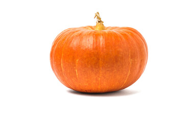 Ripe orange pumpkin of huge size isolated on a white background.