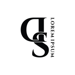 Letter DS luxury logo design vector