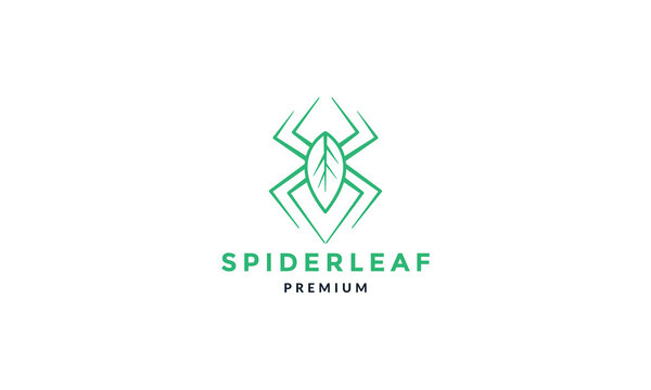 spider leaf plant green   line art  logo icon vector illustration design