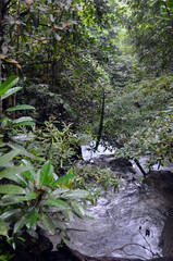 Fototapeta premium Erawan National Park, Thailand - Level 4 Waterfalls, Oke Nang Phee Suer