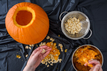 Pumpkin seed harvesting, woman’s hands sorting seeds and pumpkin guts
