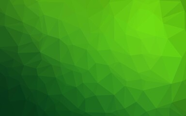 Light Green vector polygon abstract layout.