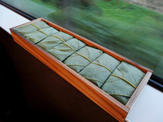 電車の車窓と柿の葉寿司